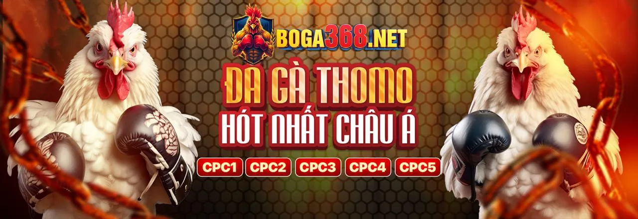 Hình ảnh chính cá cược đá gà trực tuyến 2bong88