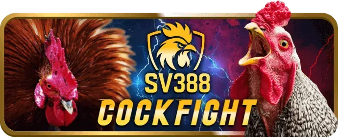 Trò chơi máy xèng 2bong88